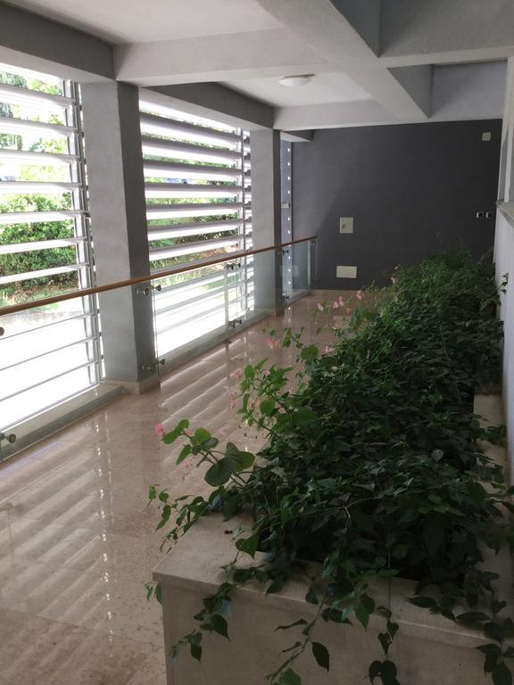Alessia Apartments-Top Location And Garage Parking Rovinj Exterior foto